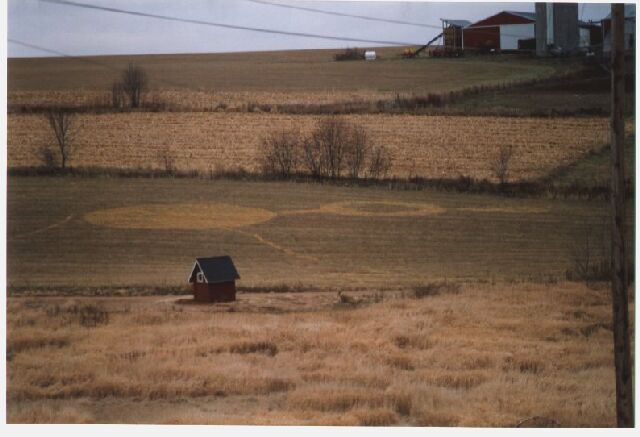 Wisconsin Crop Circle Picture and Report